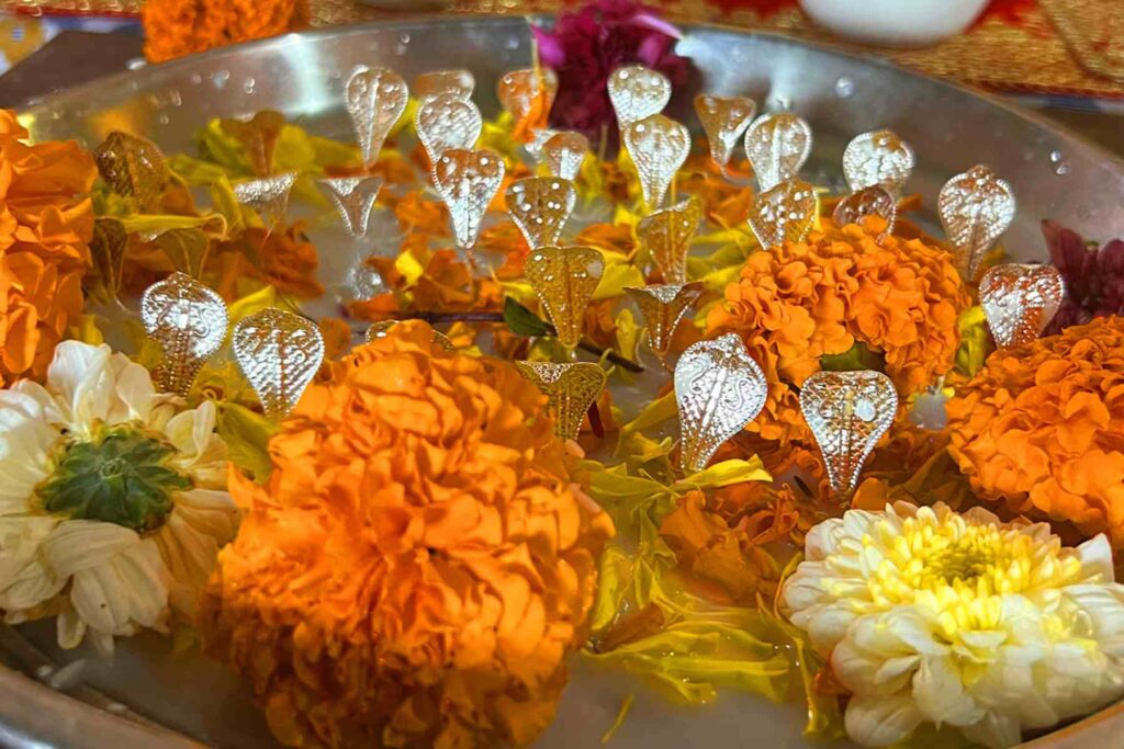 Kalsarp puja