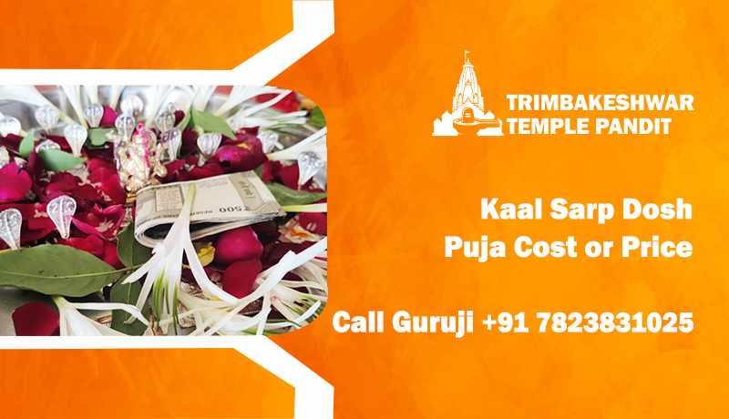 Kaal Sarp Dosh Puja Cost or Price