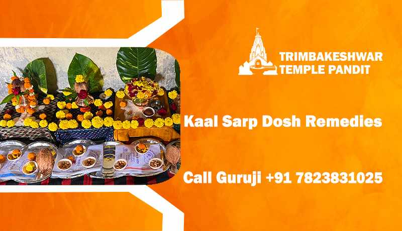 Kaal Sarp Dosh Remedies