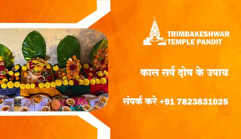 काल सर्प दोष के उपाय