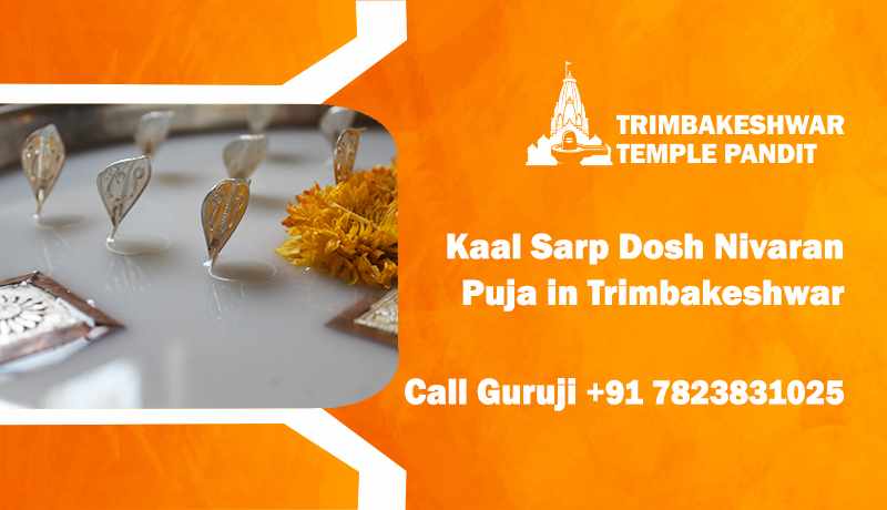 Kaal Sarp Dosh Nivaran Puja in Trimbakeshwar