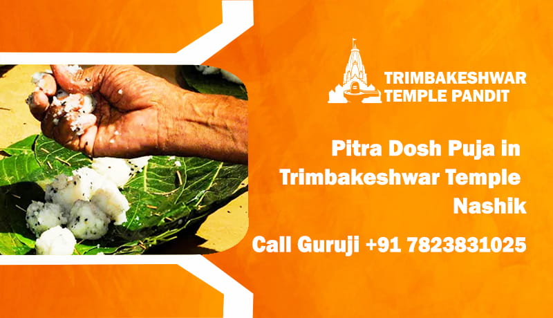 Pitra Dosh Puja in Trimbakeshwar Temple Nashik