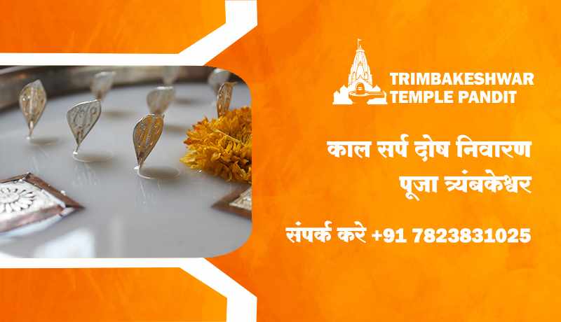 काल सर्प दोष निवारण पूजा त्र्यंबकेश्वर