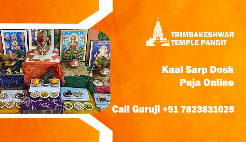 Kaal Sarp Dosh Puja Online