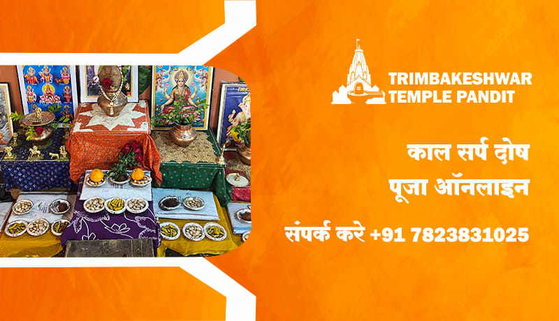काल सर्प दोष पूजा ऑनलाइन