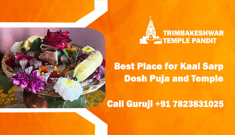 Best Place for Kaal Sarp Dosh Puja and Temple