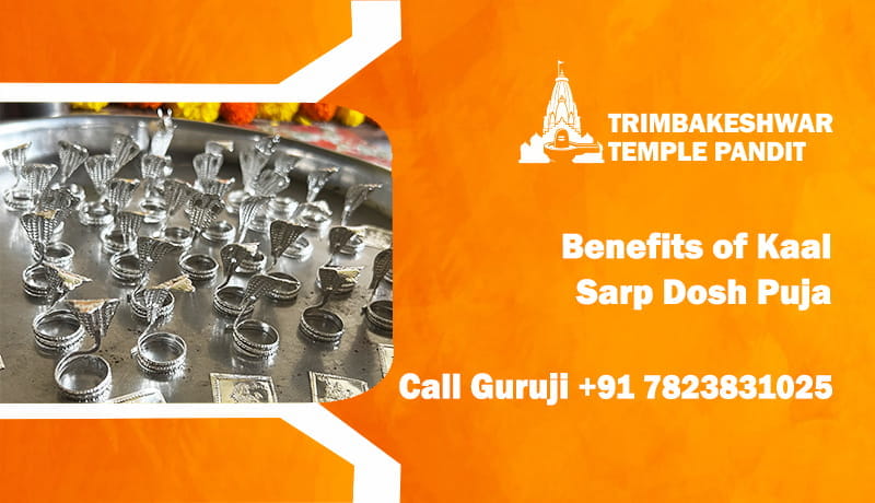 Benefits of Kaal Sarp Dosh Puja