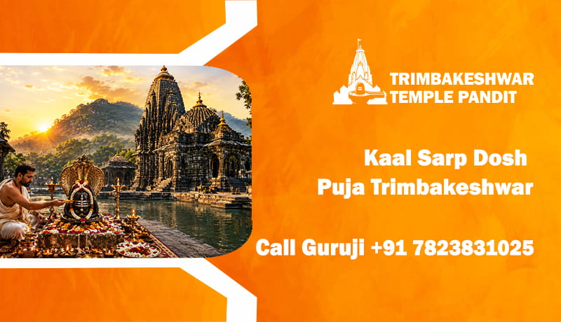 Kaal Sarp Dosh Puja Trimbakeshwar