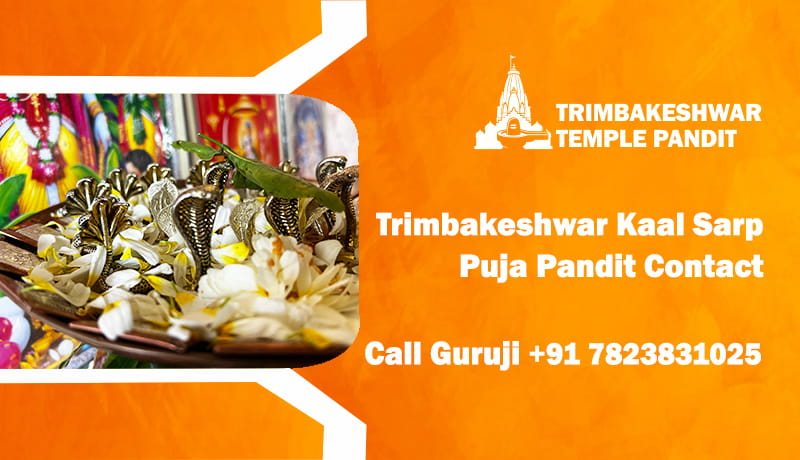 Trimbakeshwar Kaal Sarp Puja Pandit Contact